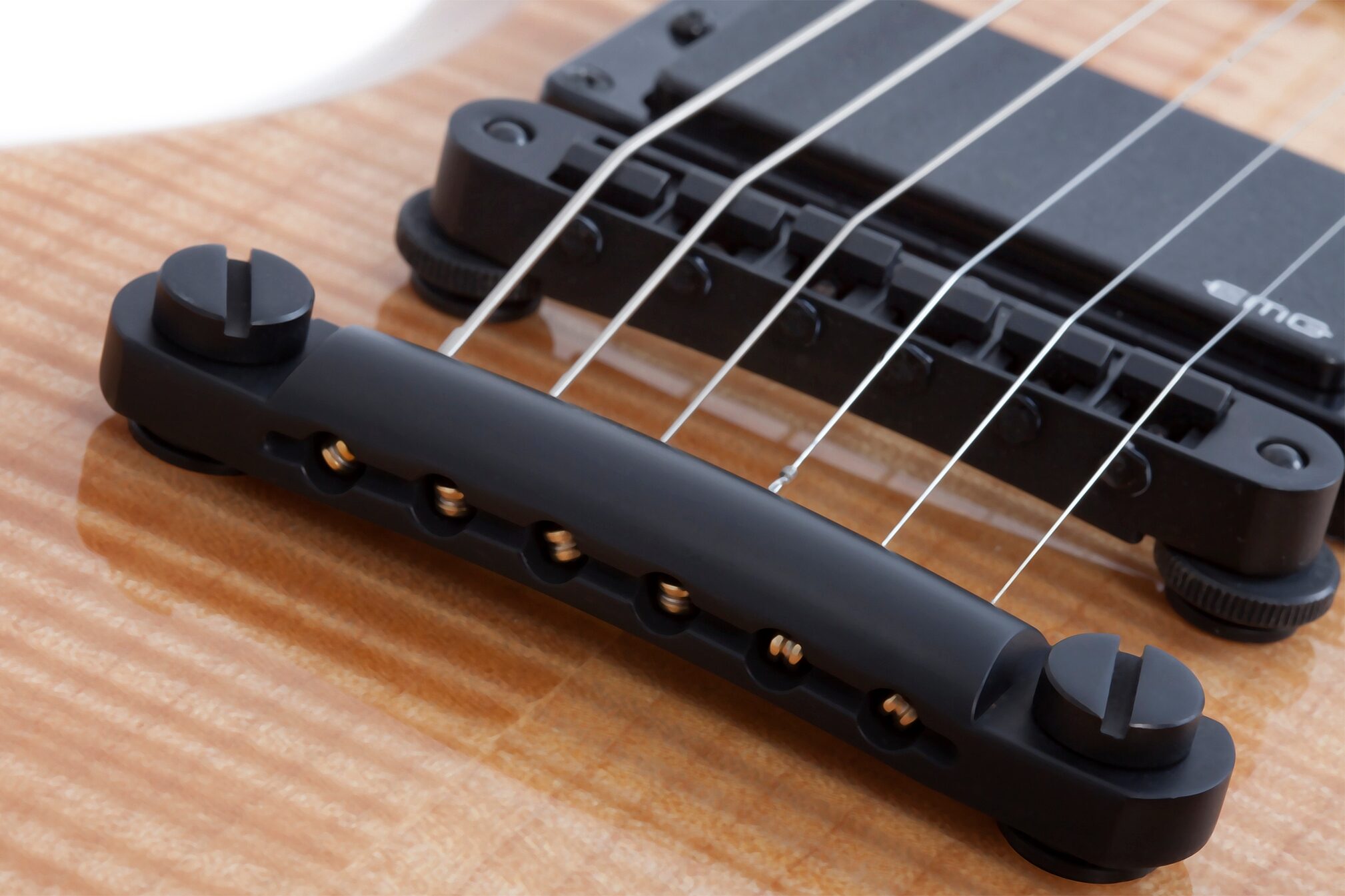 Wylde Audio Blood Eagle Raw Top Electric Guitar, Action Position Back