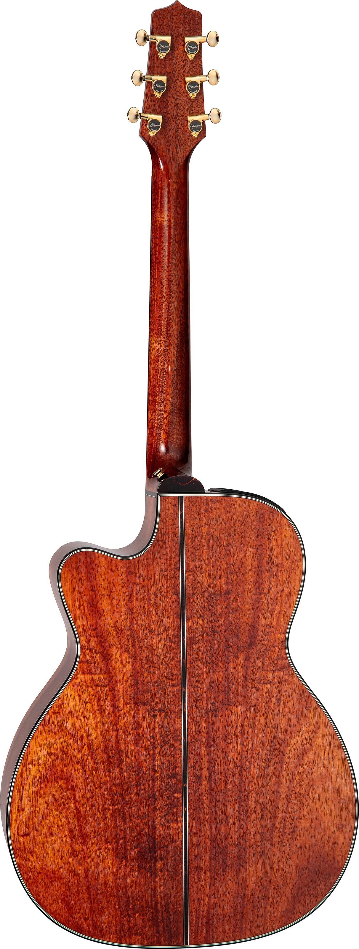 Takamine LTD2025 Limited Edition Acoustic-Electric Guitar (with Case), Evergreen, Action Position Back