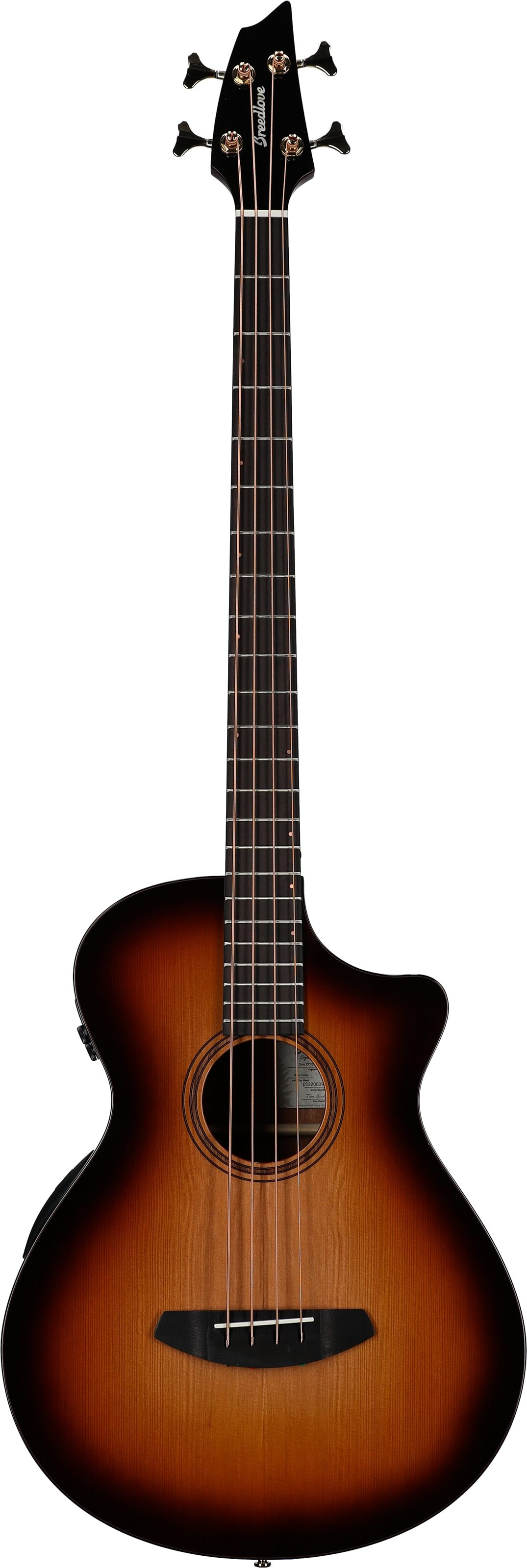 Breedlove Organic Pro Solo Concerto CE Acoustic-Electric Bass (with Case), Action Position Back