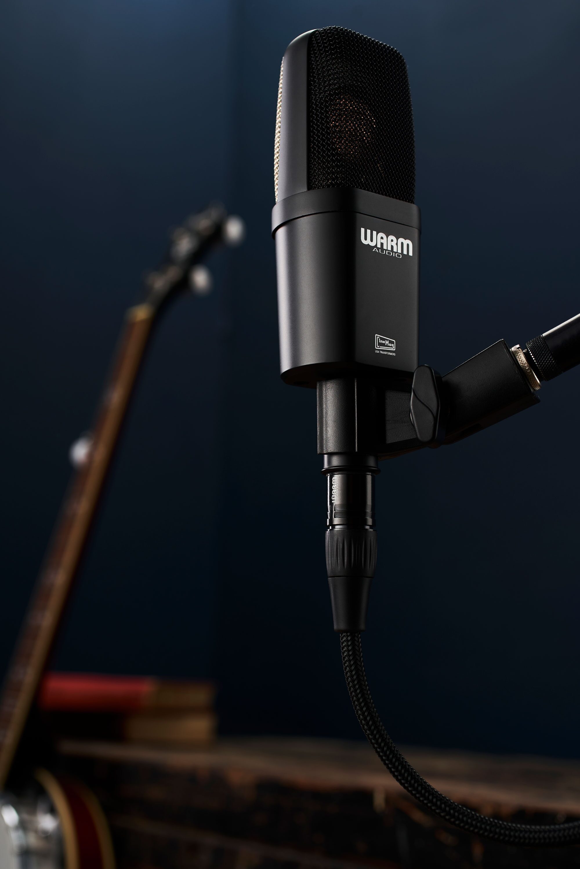 Warm Audio WA-14 Large-Diaphragm Condenser Microphone