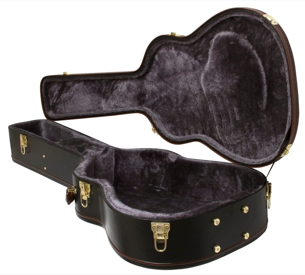 Epiphone hummingbird deals hard case