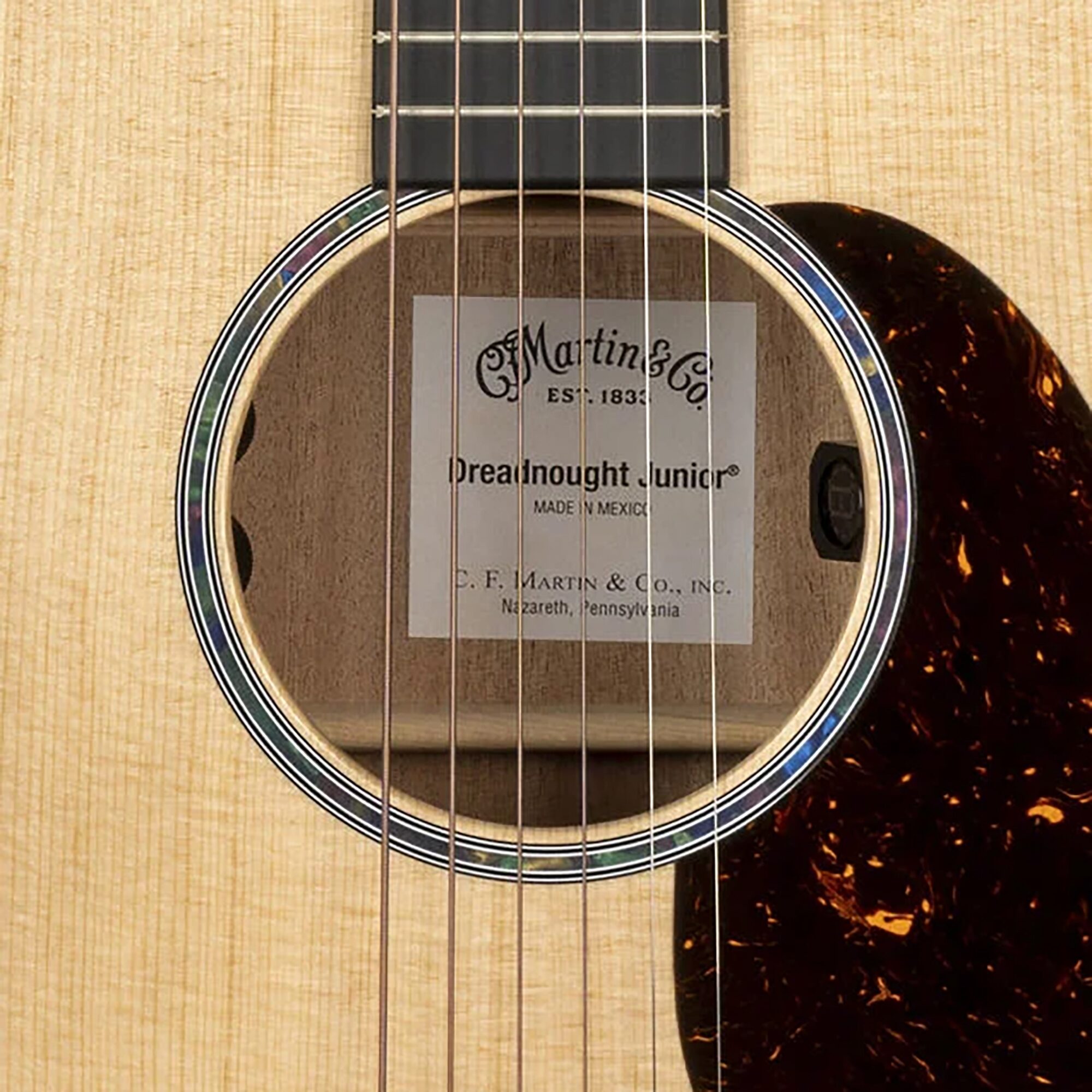 Martin D Junior E Acoustic-Electric Guitar (with Soft Case), New, Action Position Back