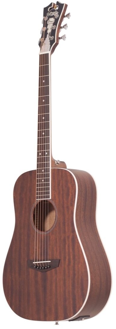 D'Angelico Premier Niagara Acoustic-Electric Guitar, ve