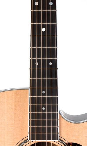 Martin DC16RGTEP Premium Cutaway Acoustic-Electric Guitar (with Case), Fingerboard