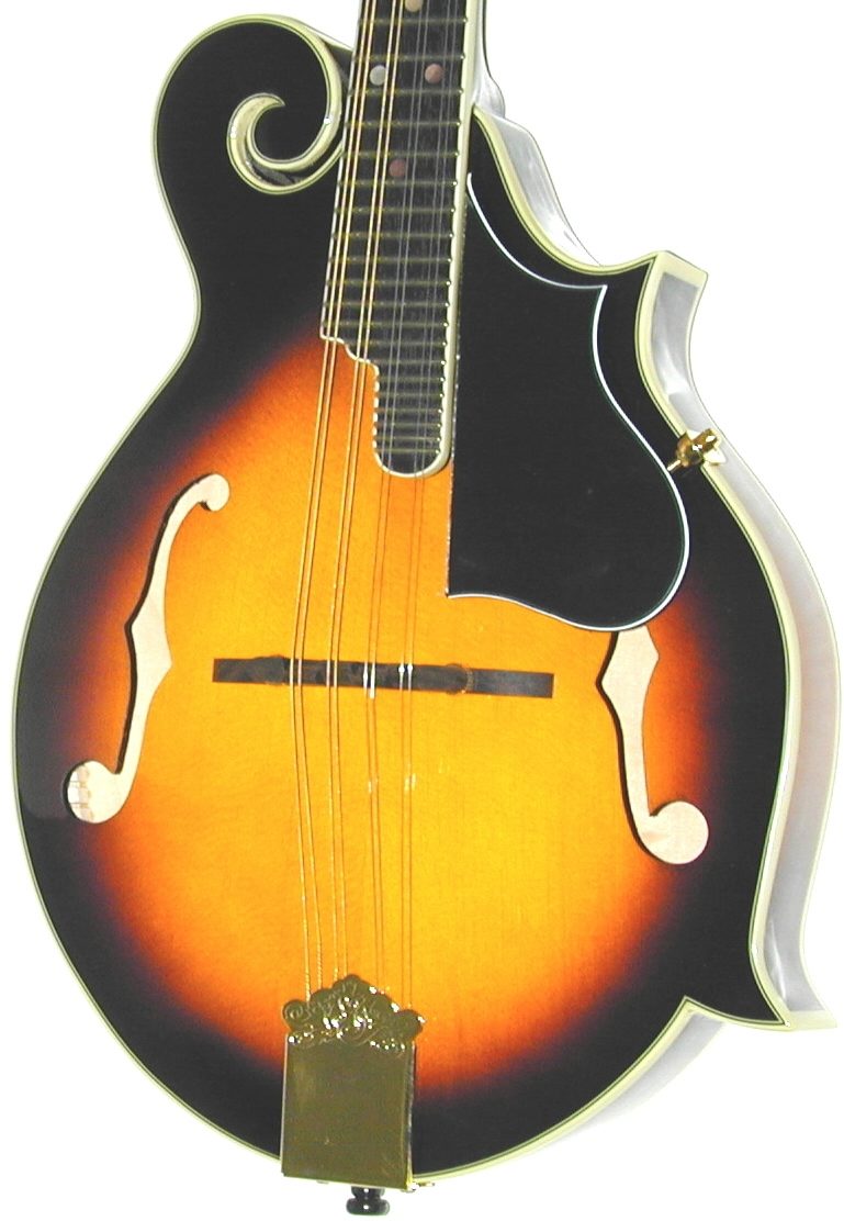 Dean Bluegrass F-Style Mandolin, Body