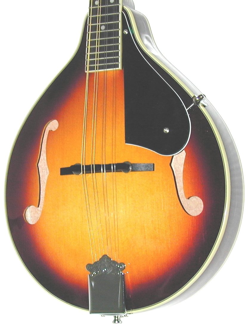 Dean Playmate A A-Style Acoustic Mandolin, Body