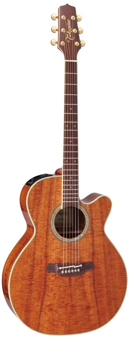 Takamine EF508KC Acoustic-Electric Guitar (with Case), Main