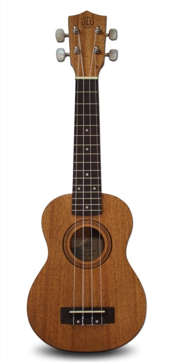 eMedia Mahogany Ukulele Pack, Main
