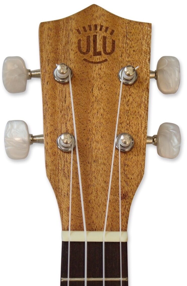 eMedia Mahogany Ukulele Pack, Head