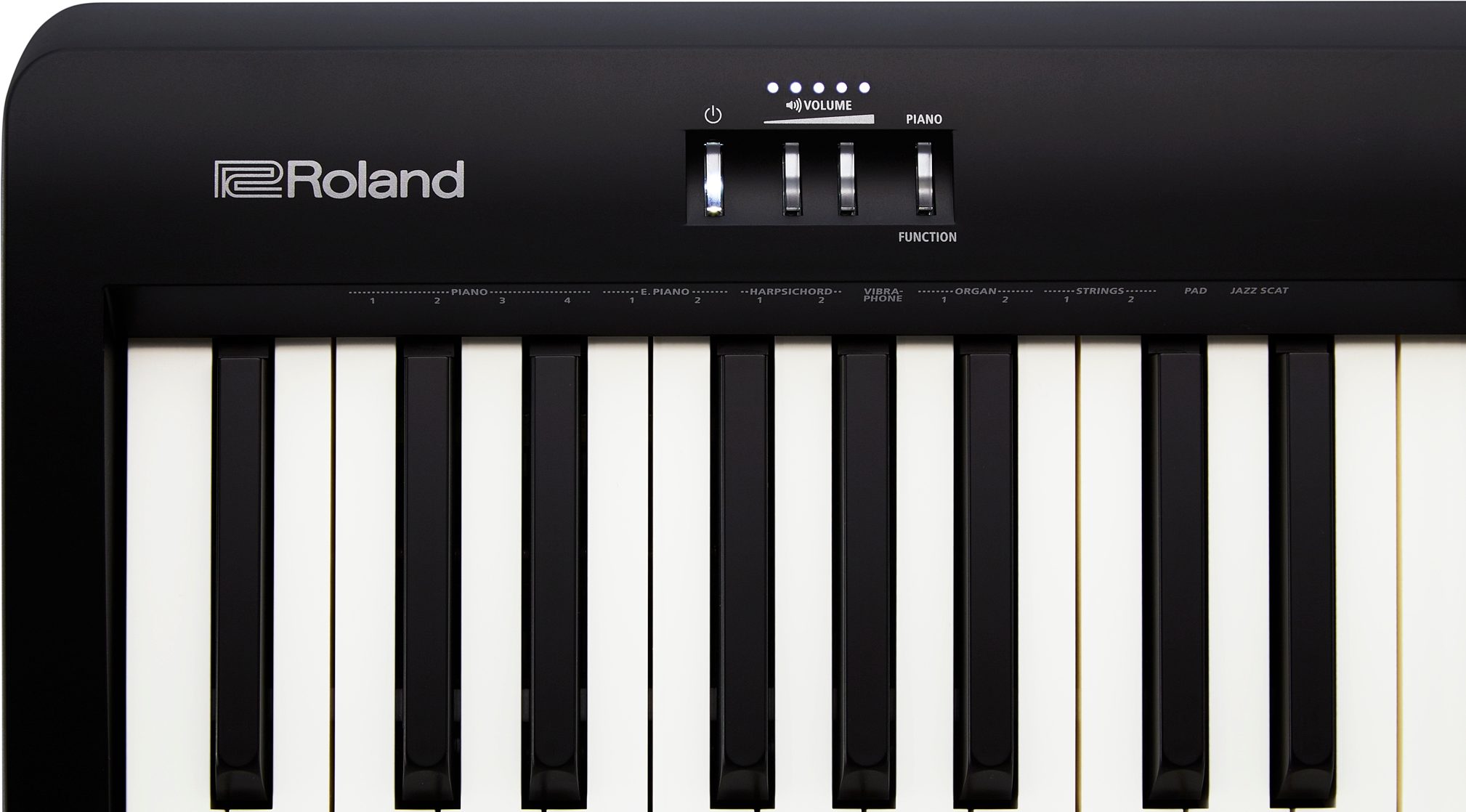  Roland FP-10 88-key Entry Level Digital Keyboard with Bluetooth  : Musical Instruments