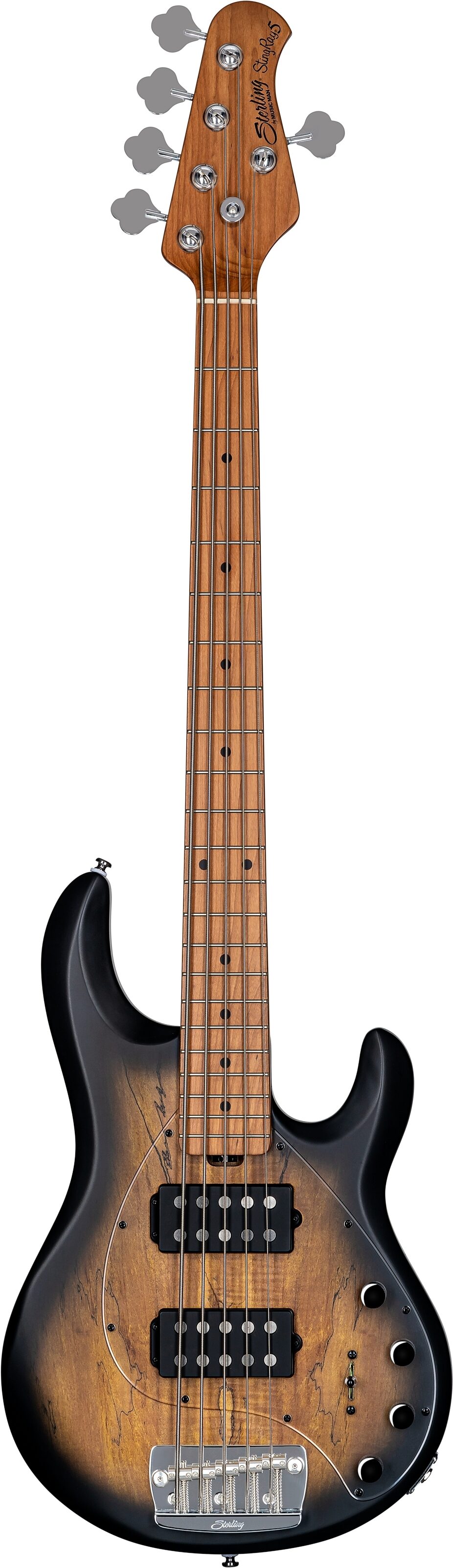 Sterling by Music Man Ray35HH Spalted Maple Electric Bass (with Gig Bag), Main