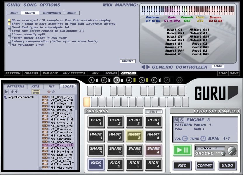FXpansion Guru Loop Splicing Software, Options View