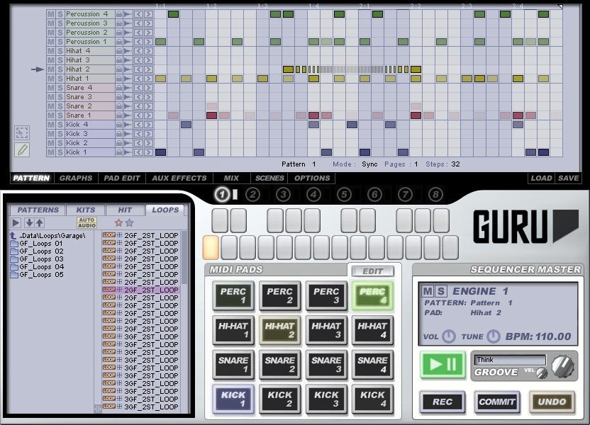 FXpansion Guru Loop Splicing Software, Pattern View