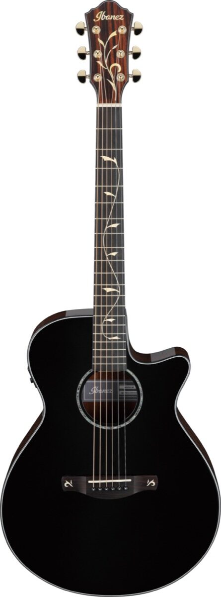 Ibanez AEG550 Acoustic-Electric Guitar, view