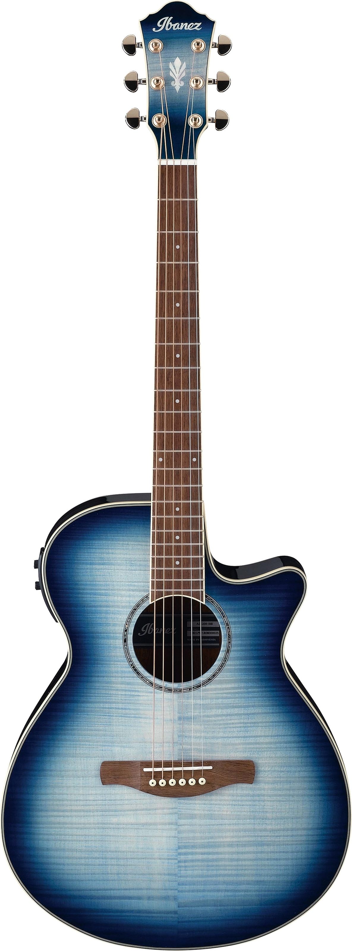 Ibanez AEG20II Acoustic-Electric Guitar, Action Position Back