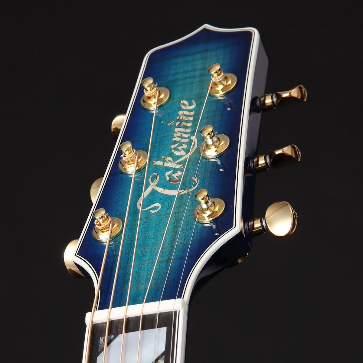 Takamine TSP178AC Thinline Acoustic-Electric Guitar (with Gig Bag), View
