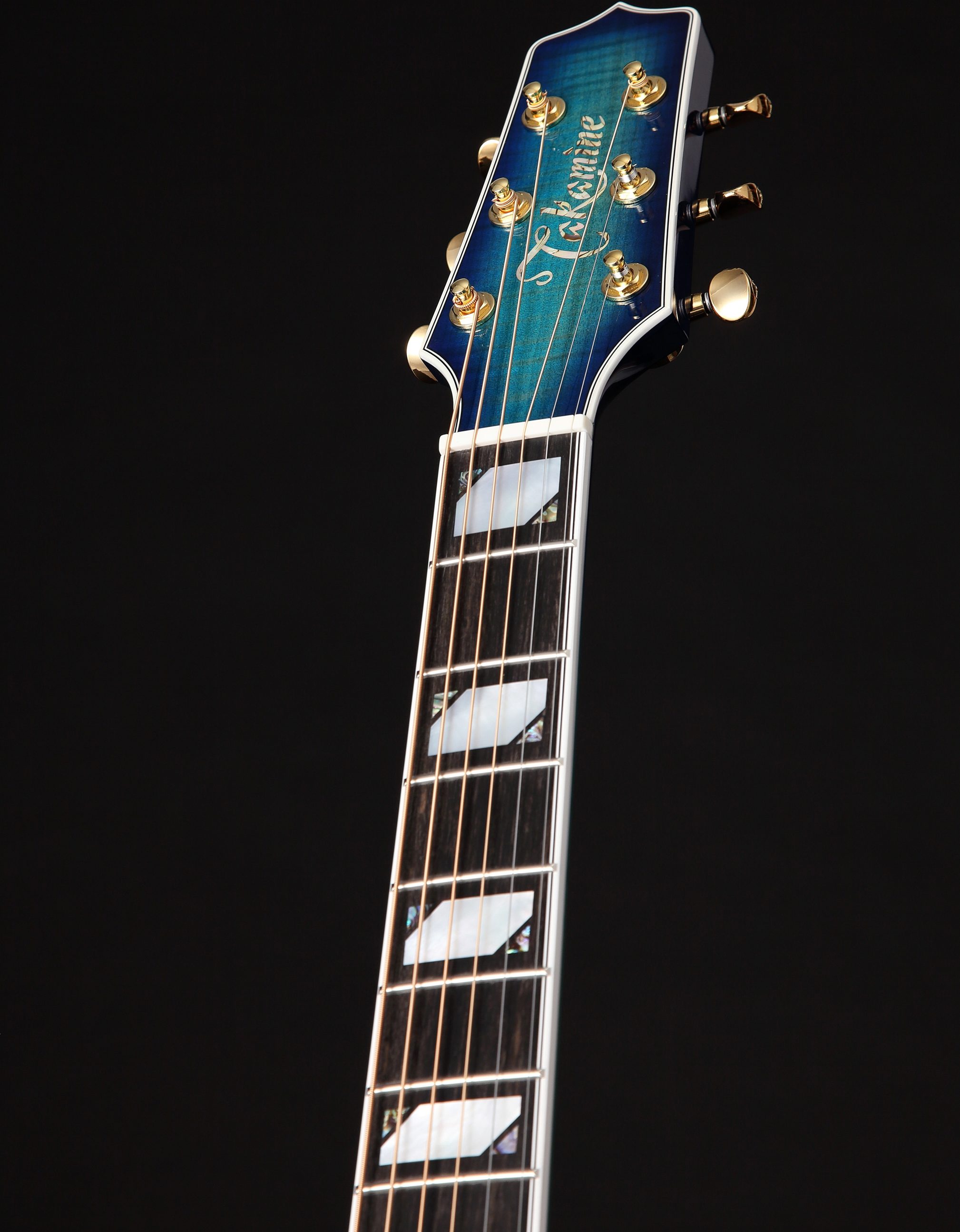 Takamine TSP178AC Thinline Acoustic-Electric Guitar (with Gig Bag), Action Position Back