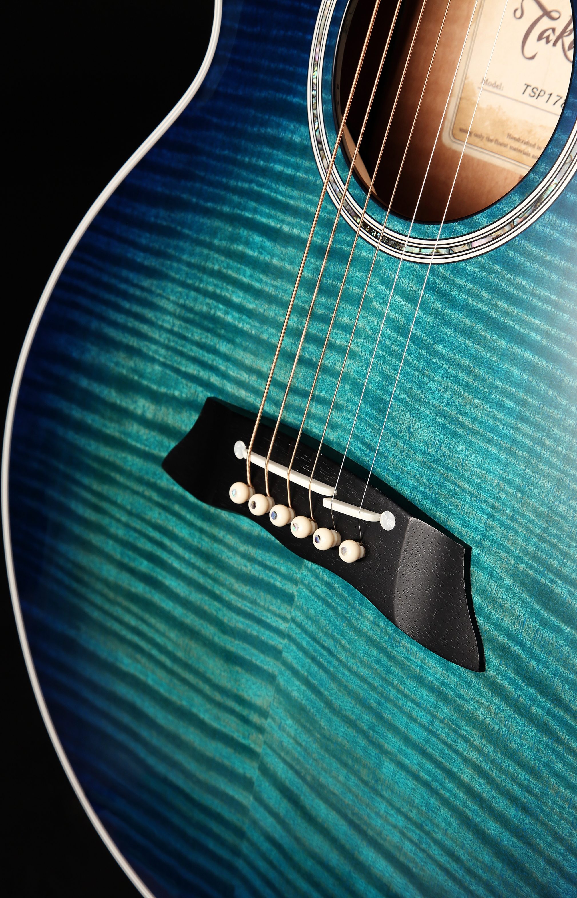 Takamine TSP178AC Thinline Acoustic-Electric Guitar (with Gig Bag), Action Position Back