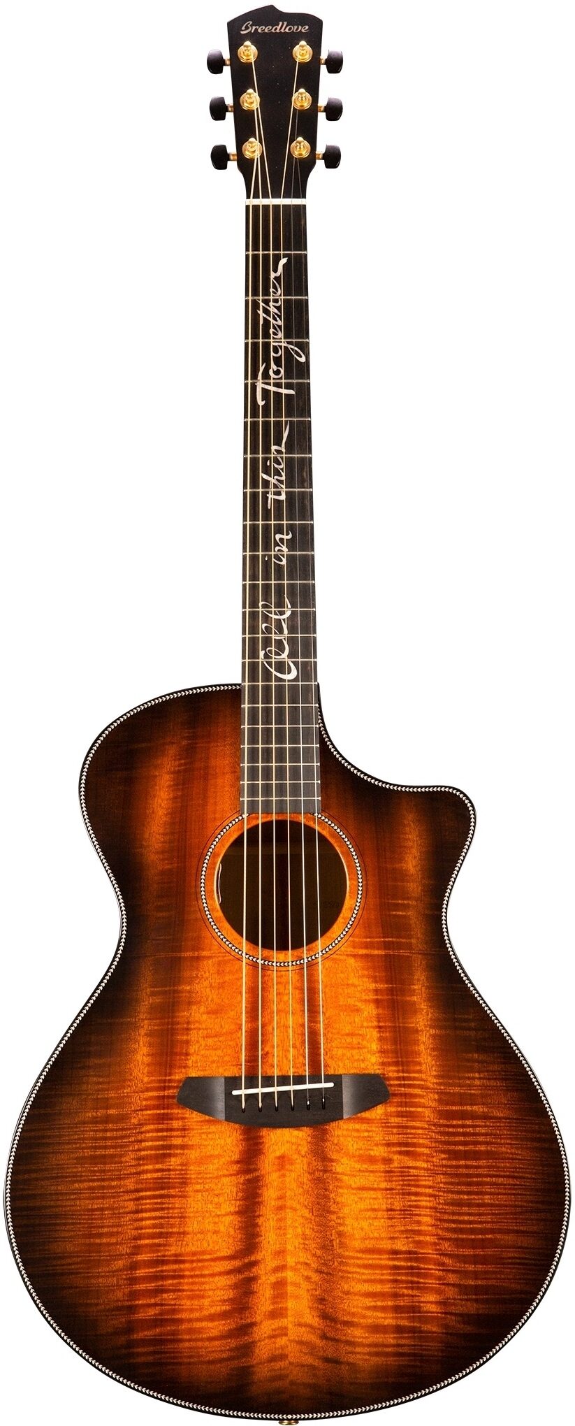 Breedlove Jeff Bridges Oregon Dreadnought Concerto CE Acoustic-Electric Guitar (with Gig Bag), Open Box (Very Good), Action Position Front