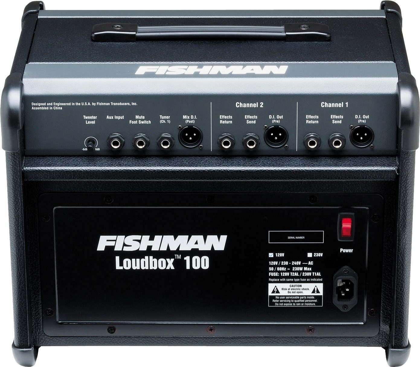 Fishman Loudbox 100 Acoustic Guitar Amplifier (100 Watts, 1x8 in.), Back Panel