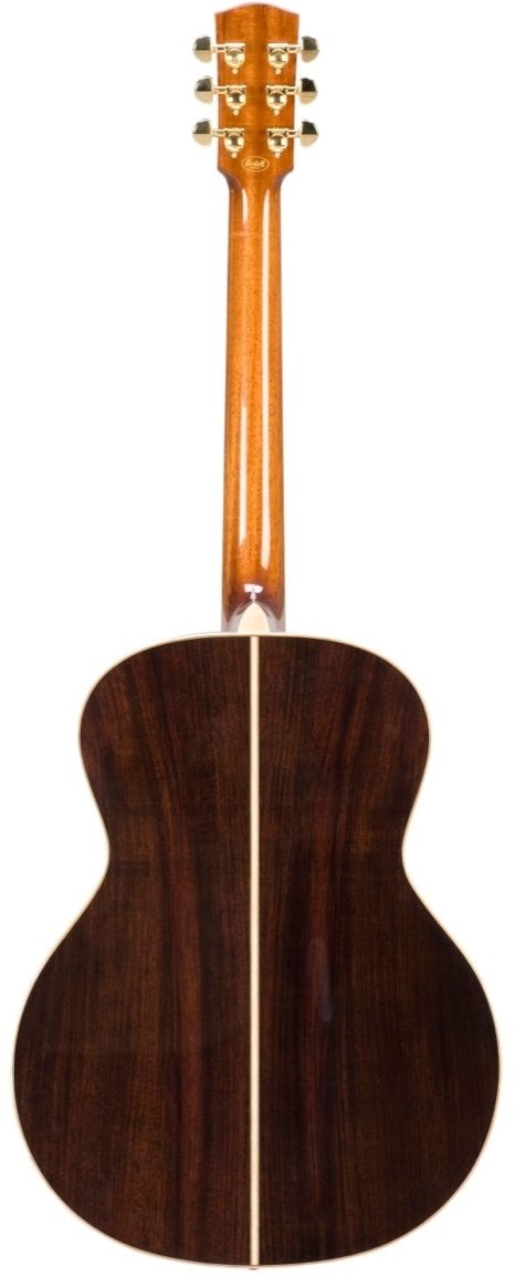 Bedell MB-28-G Perform Plus Orchestra Acoustic Guitar (with Gig Bag), Back
