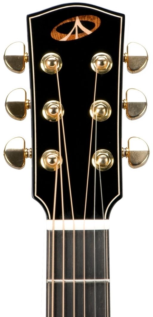 Bedell MB-28-G Perform Plus Orchestra Acoustic Guitar (with Gig Bag), Headstock Front