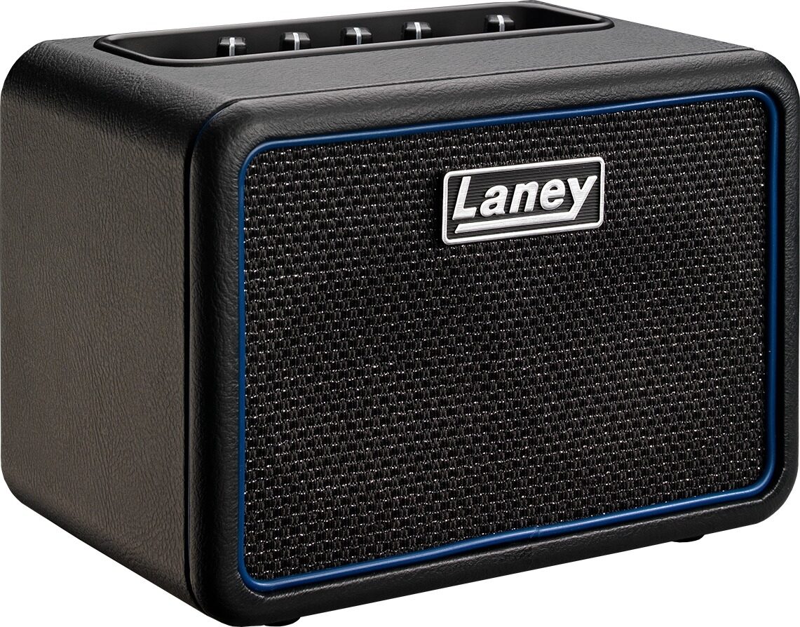 Vervolgen Zeeman Profeet Laney MINI-BASS-NX Battery-Powered Mini Bass Combo Amp | zZounds