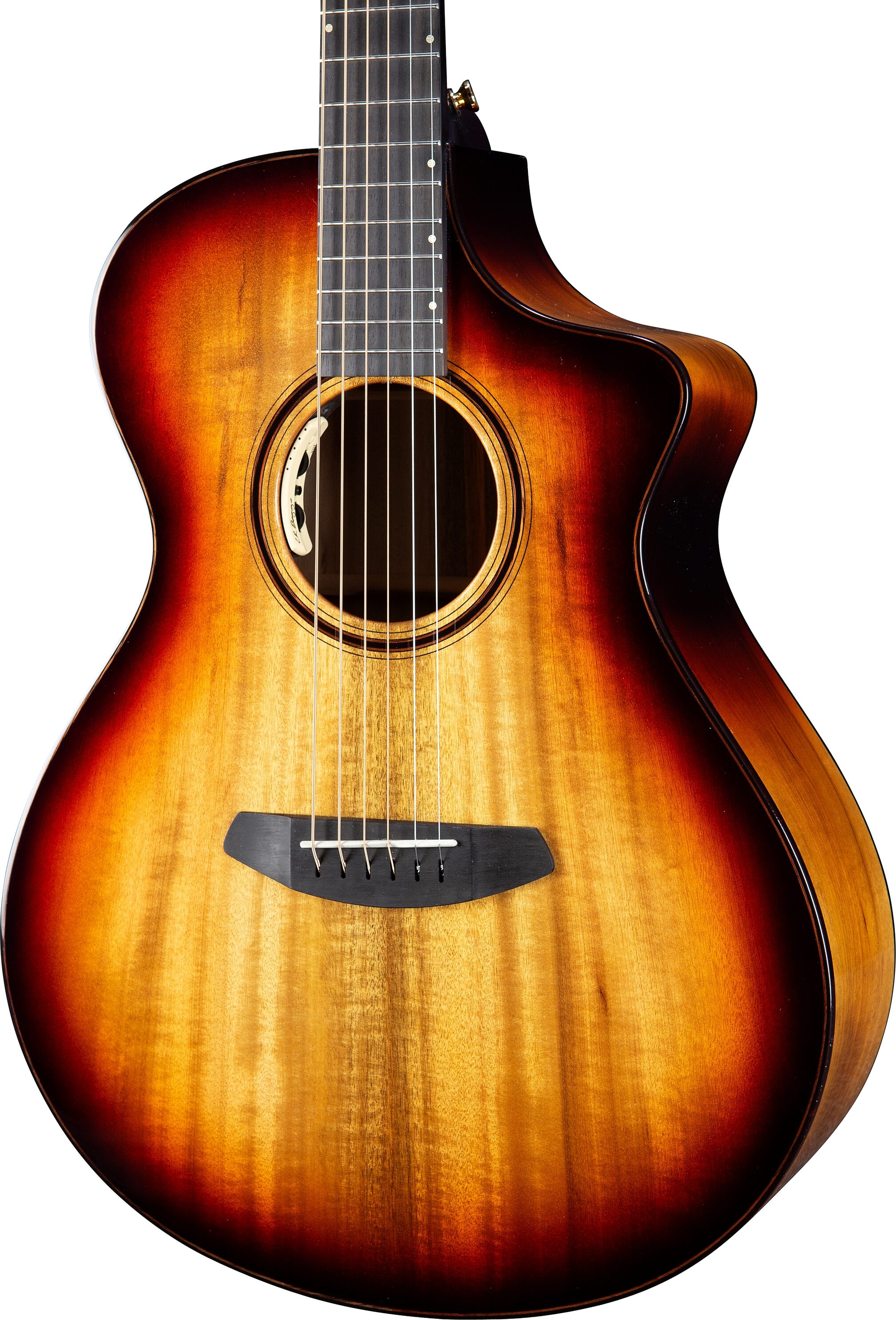 Breedlove Limited Oregon Concert CE Acoustic-Electric Guitar (with Case), Action Position Back