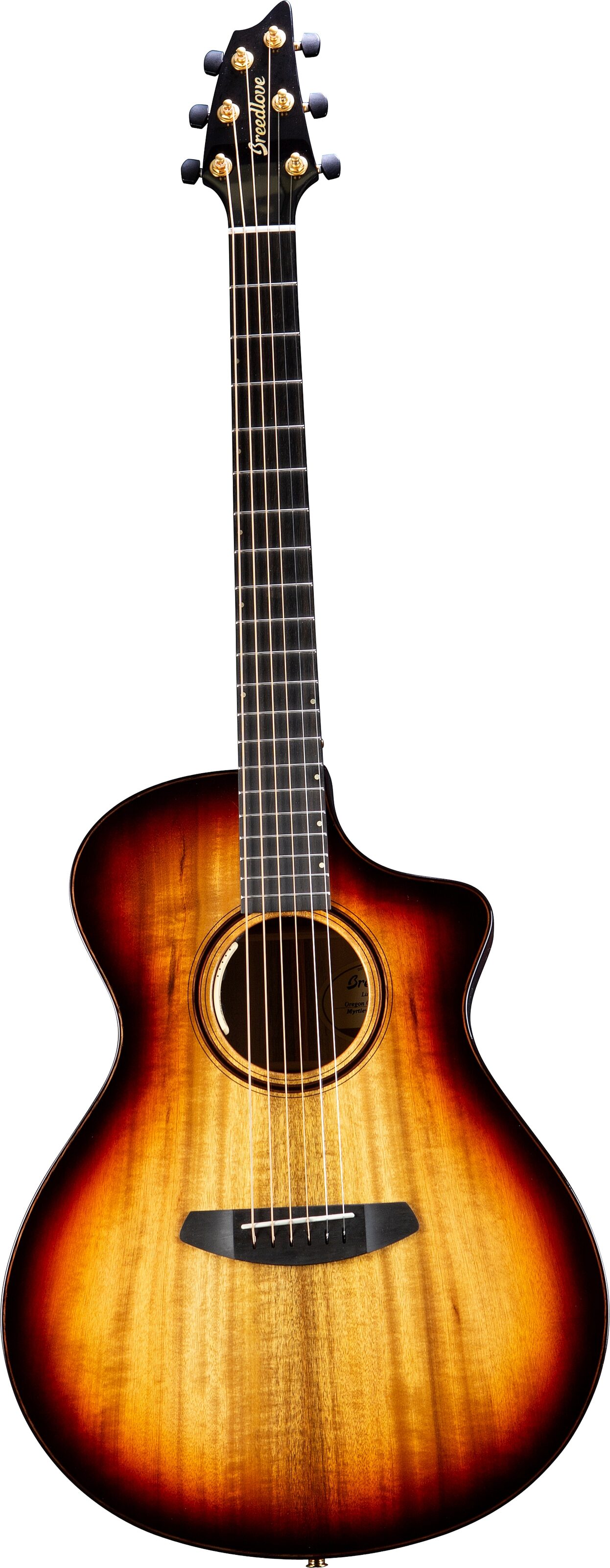 Breedlove Limited Oregon Concert CE Acoustic-Electric Guitar (with Case), Action Position Back