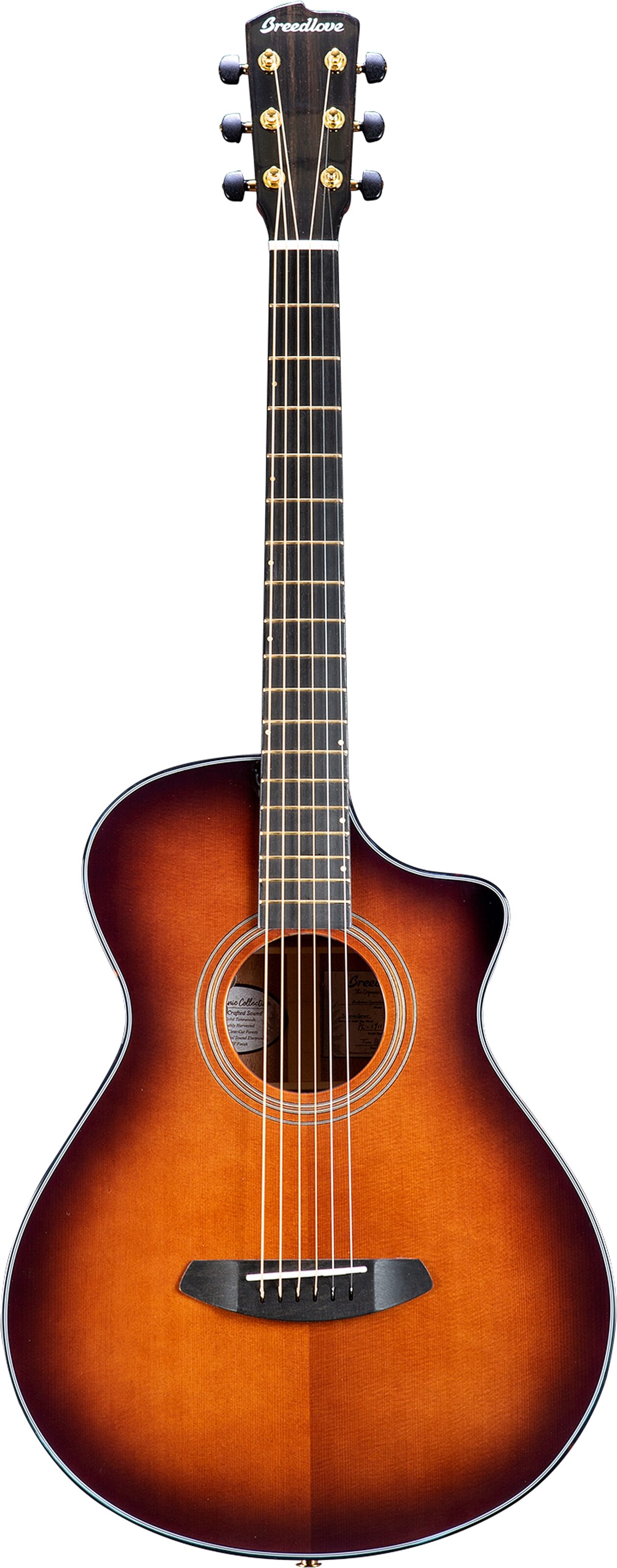 Breedlove Organic Wildwood Dreadnought Concerto Acoustic-Electric Guitar, Action Position Back
