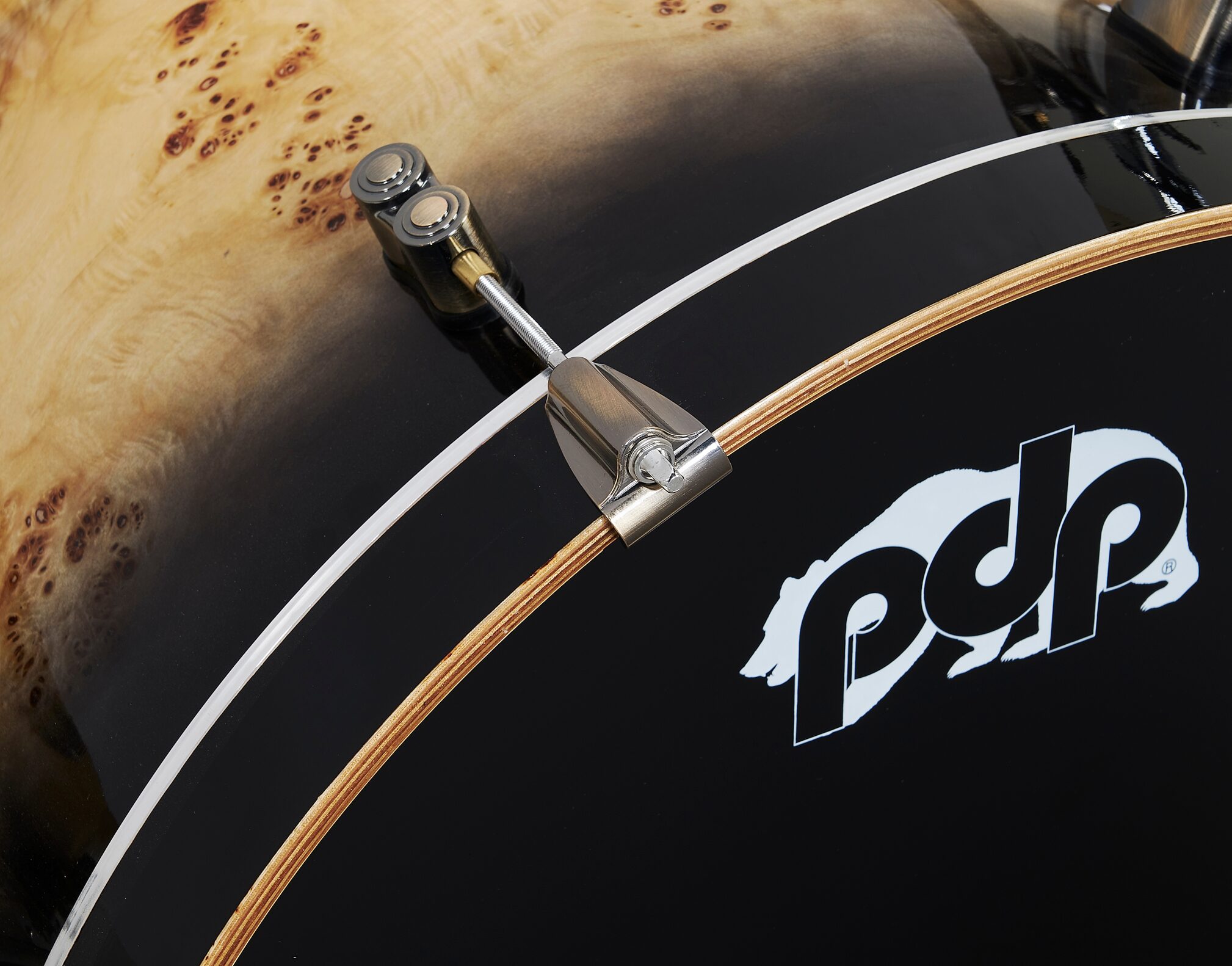 Pacific Drums PDLT2214 Concept Series LTD Exotic Drum Shell Kit, 4-Piece, Action Position Back