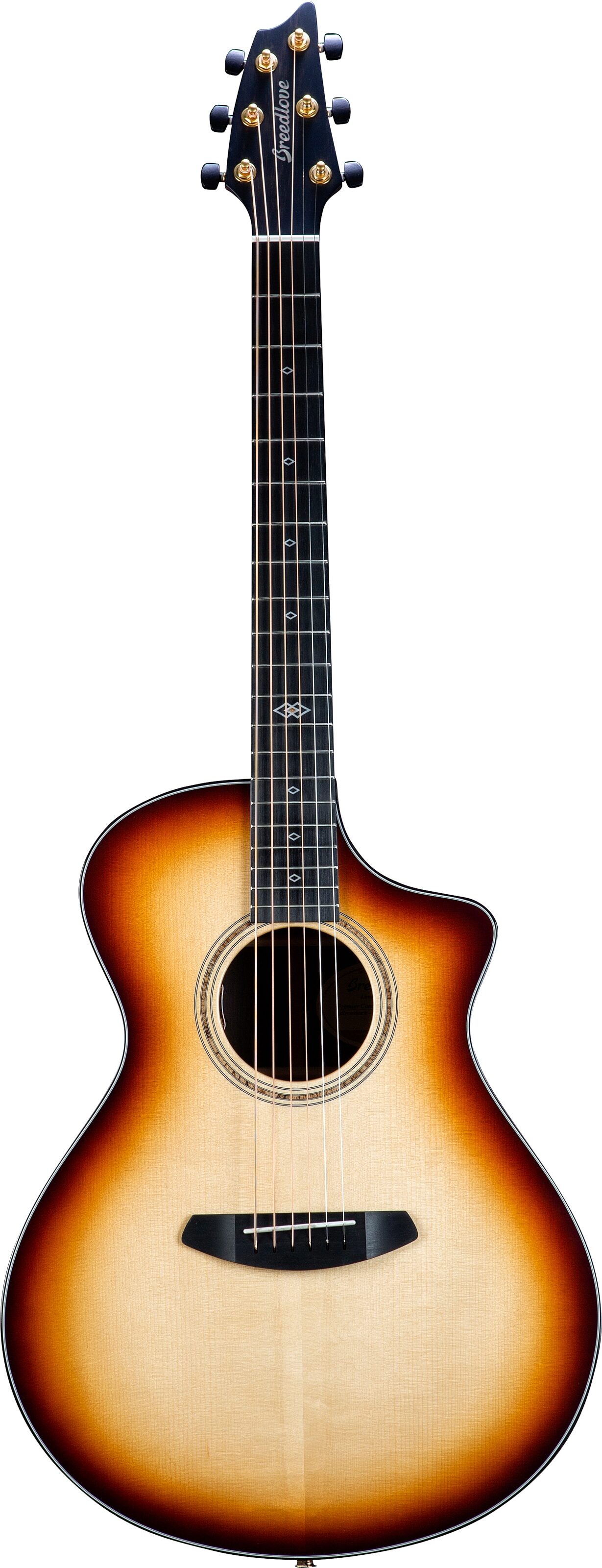 Breedlove Limited Edition Premier Concert Brazilian Rosewood CE Acoustic-Electric Guitar (with Case), Action Position Back