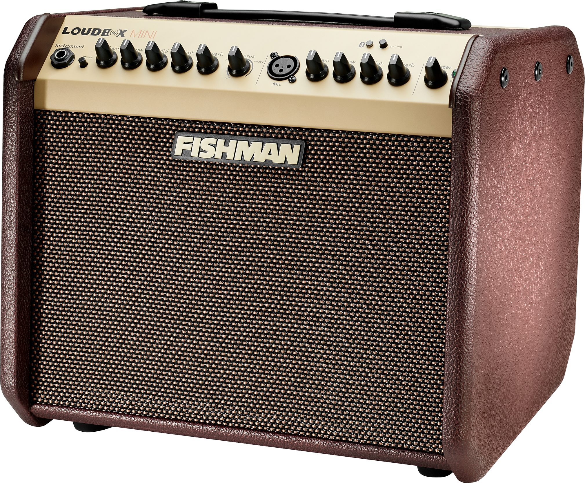 Fishman Loudbox Mini Acoustic Guitar Combo Amplifier with Bluetooth (60  Watts)