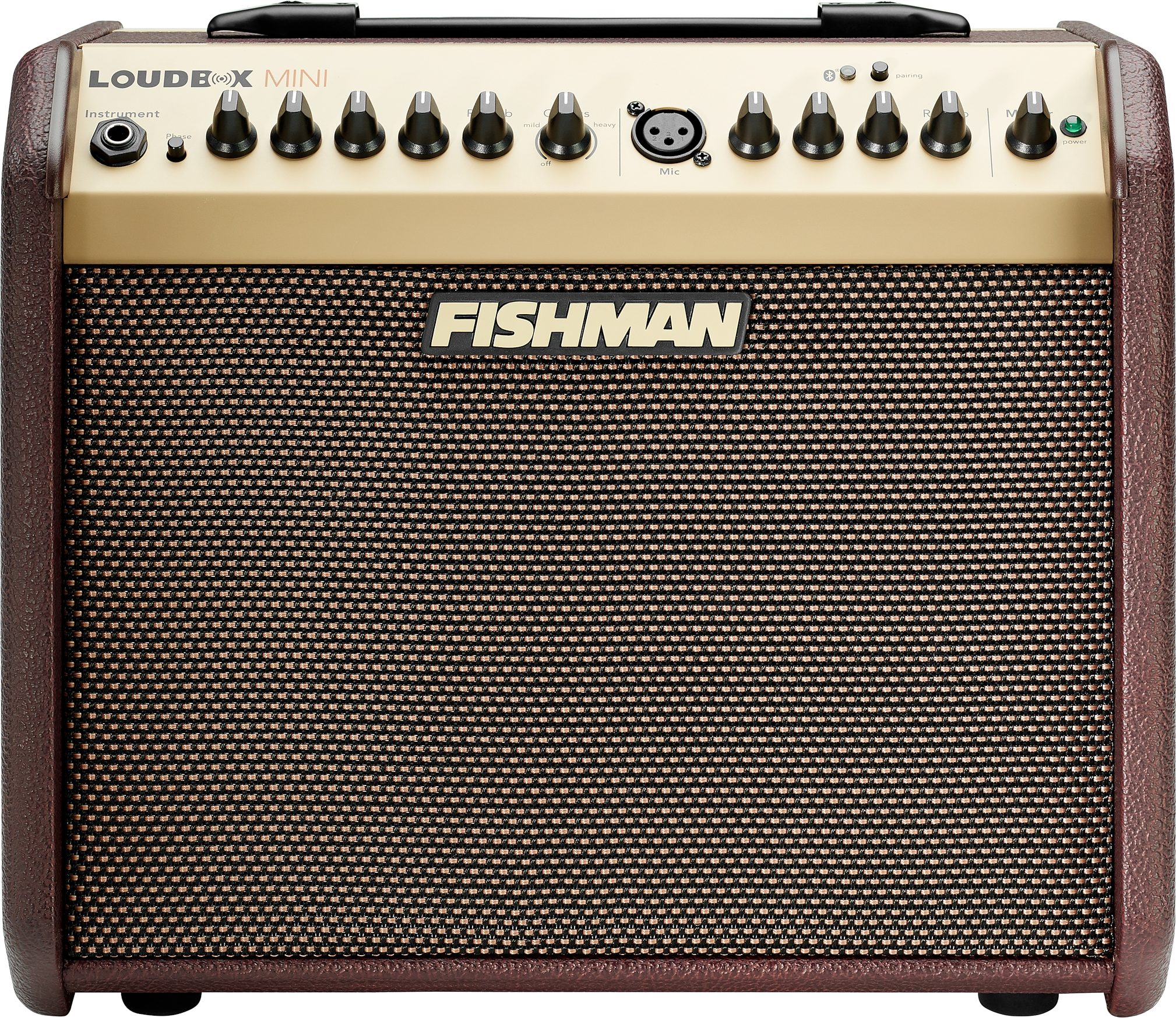 Fishman Loudbox Mini Acoustic Guitar Combo Amplifier with Bluetooth (60  Watts)