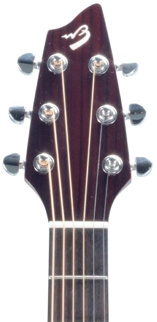 Breedlove Passport Plus C250/SFe Acoustic-Electric Guitar (with Gig Bag), Headstock