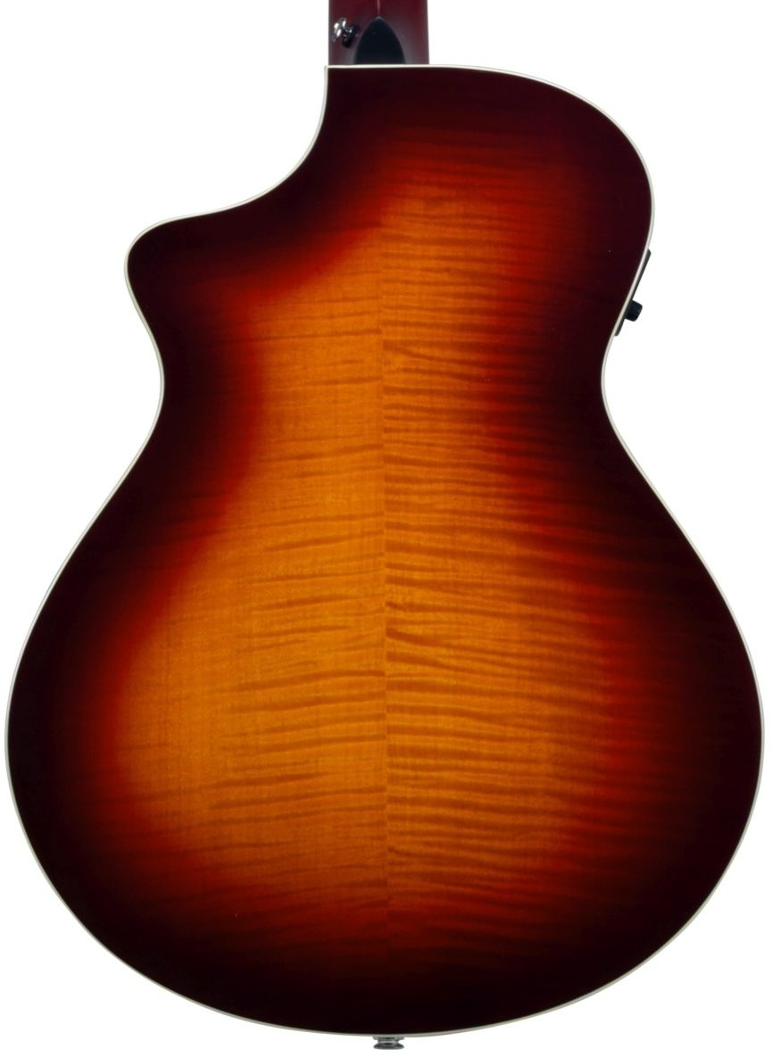 Breedlove Passport Plus C250/SFe Acoustic-Electric Guitar (with Gig Bag), Back Closeup