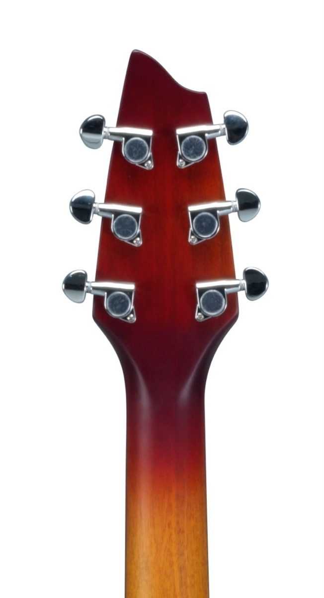 Breedlove Passport Plus C250/SFe Acoustic-Electric Guitar (with Gig Bag), Headstock Back