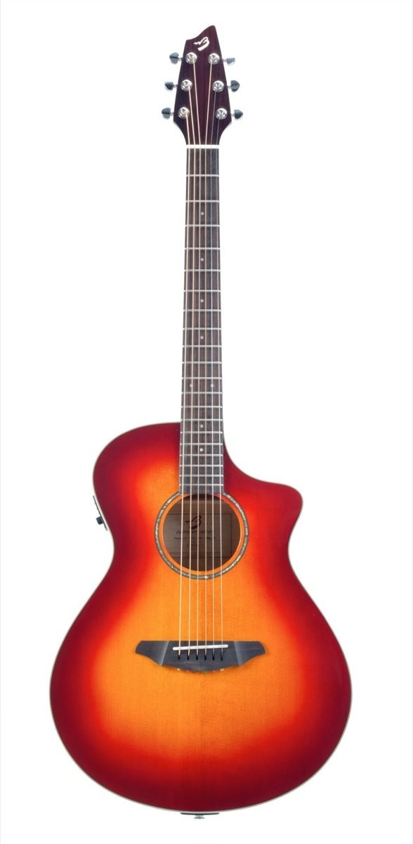 Breedlove Passport Plus C250/SFe Acoustic-Electric Guitar (with Gig Bag), Front