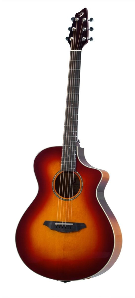 Breedlove deals passport c250