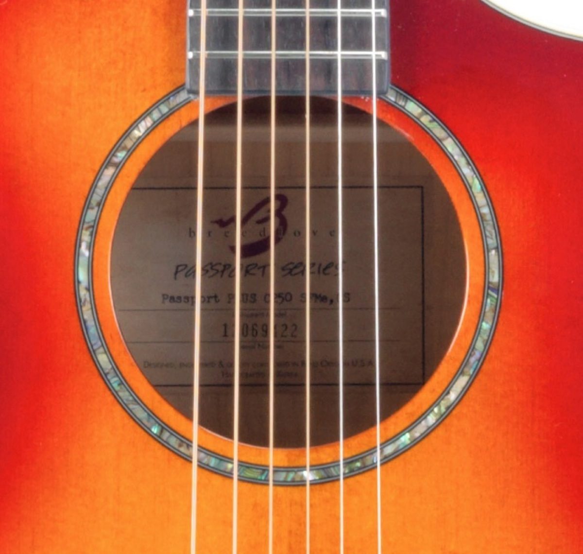 Breedlove Passport Plus C250/SFe Acoustic-Electric Guitar (with Gig Bag), Soundhole