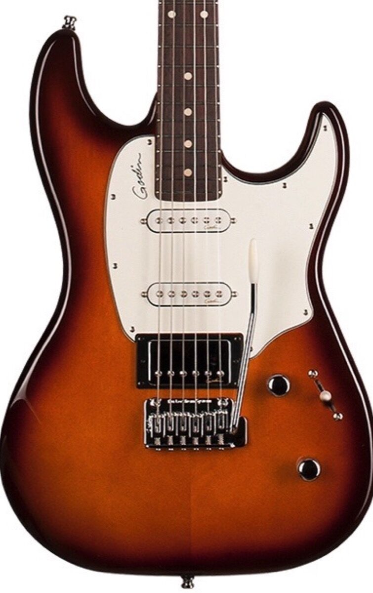 Godin Session Electric Guitar, Rosewood Fingerboard (with Gig Bag), Alt