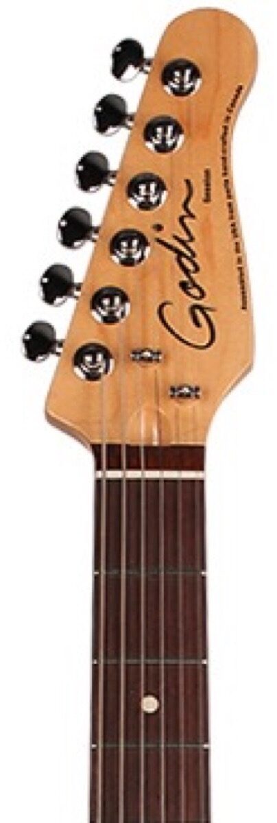 Godin Session Electric Guitar, Rosewood Fingerboard (with Gig Bag), Alt