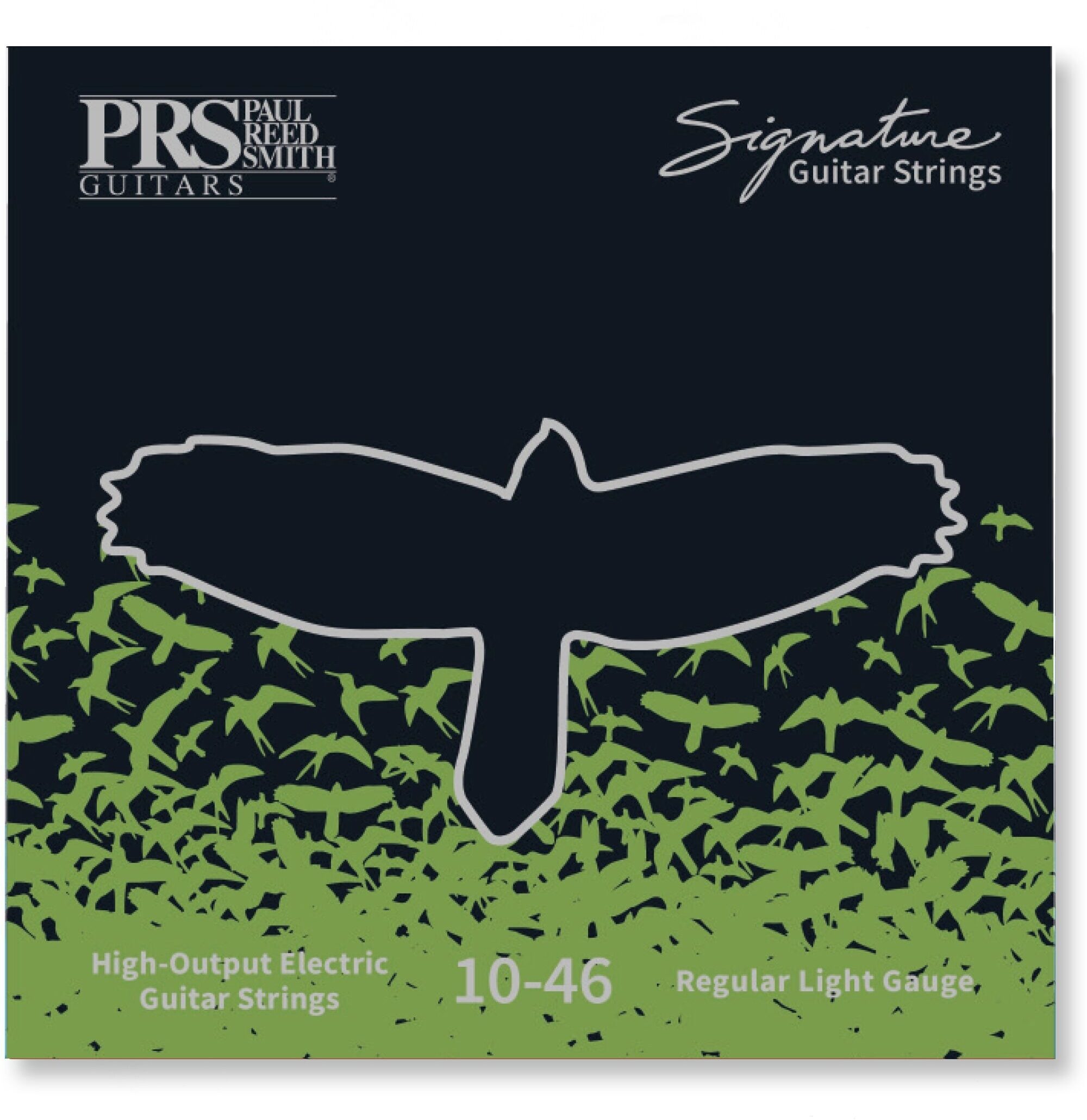 PRS Paul Reed Smith Signature Electric Guitar Strings, .010-.046, Light, Main