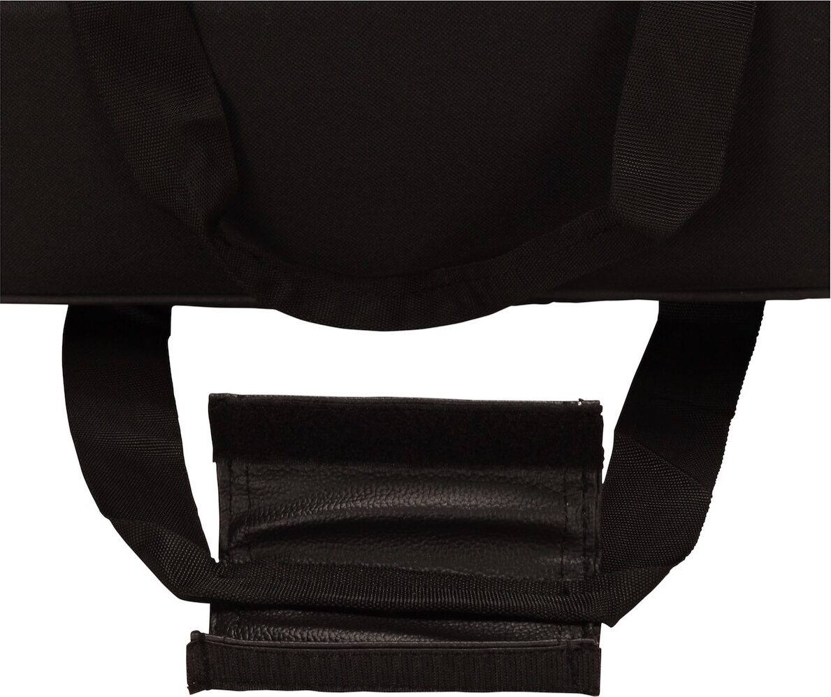 World Tour Padded Strong Side Equipment Gig Bag, 16 x 9.5 x 4.25 inch, View