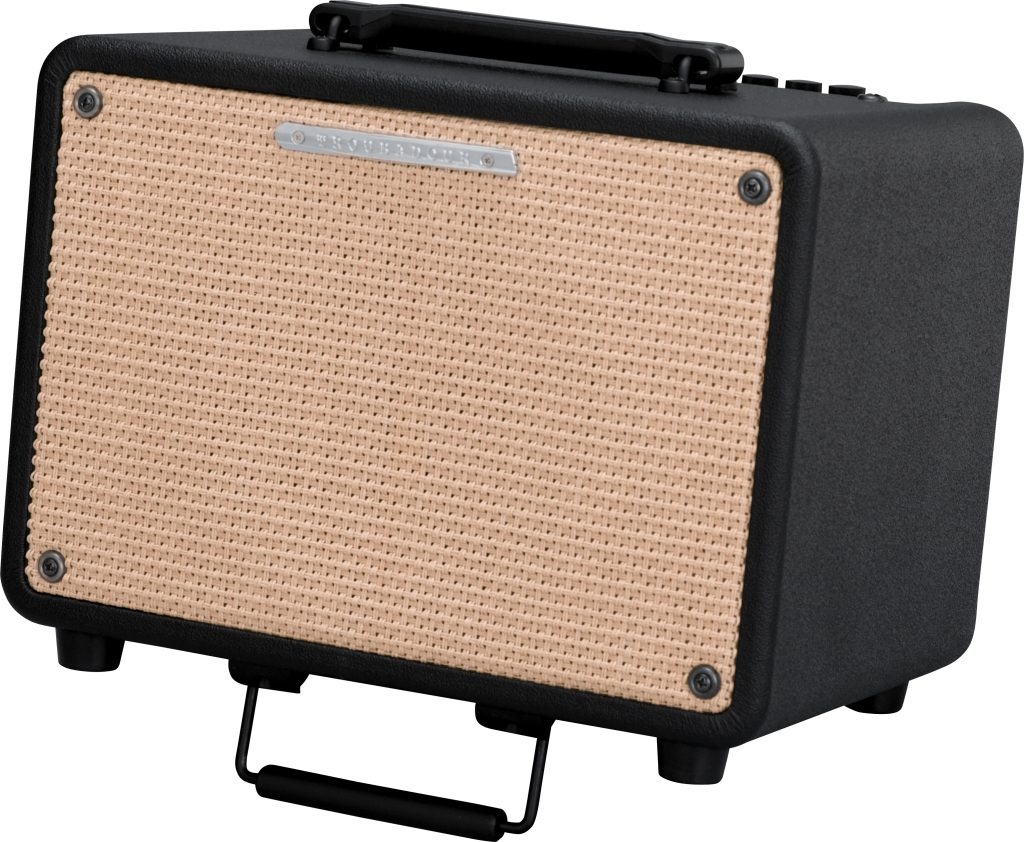 Ibanez T30 Troubadour Acoustic Guitar Amplifier, 30 Watts, Main