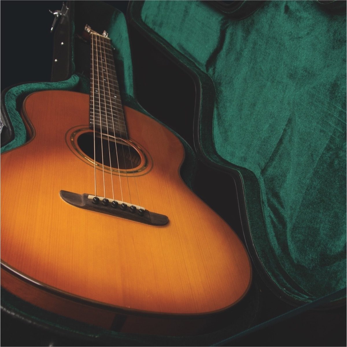 Washburn Timeless Parlor Acoustic Guitar (with Case), Case