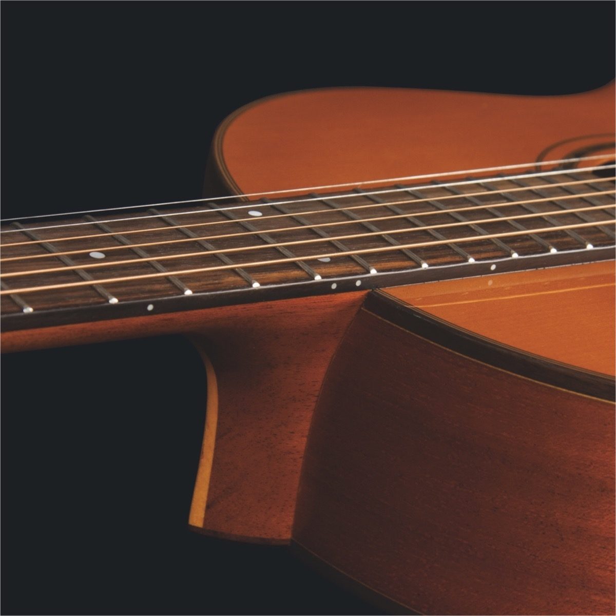 Washburn Timeless Parlor Acoustic Guitar (with Case), Angle1