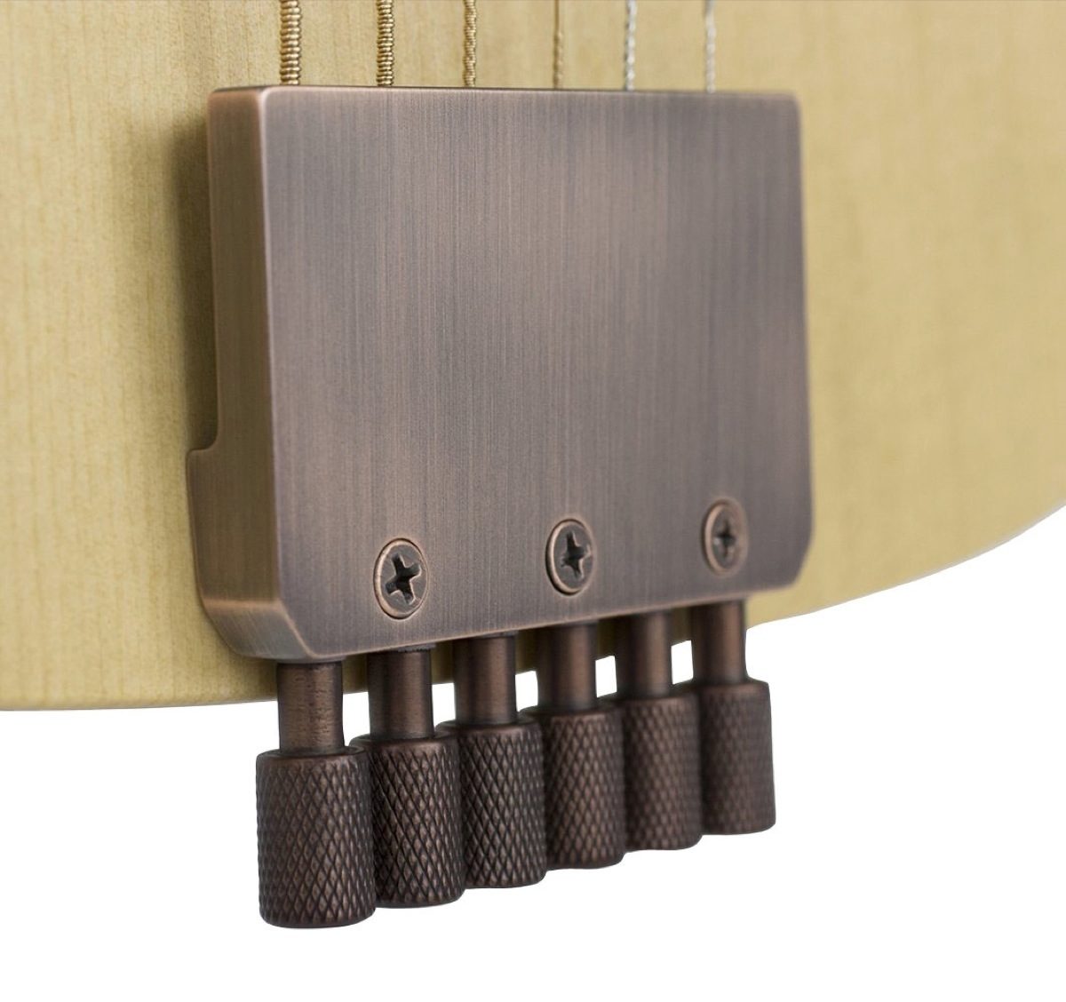 Traveler Guitar AG-105 Acoustic Guitar, Bridge