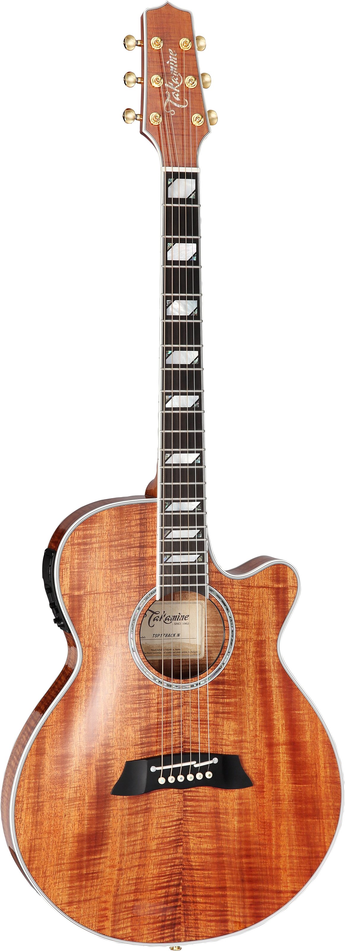 Takamine TSP178AC Thinline Acoustic-Electric Guitar (with Gig Bag), Action Position Back
