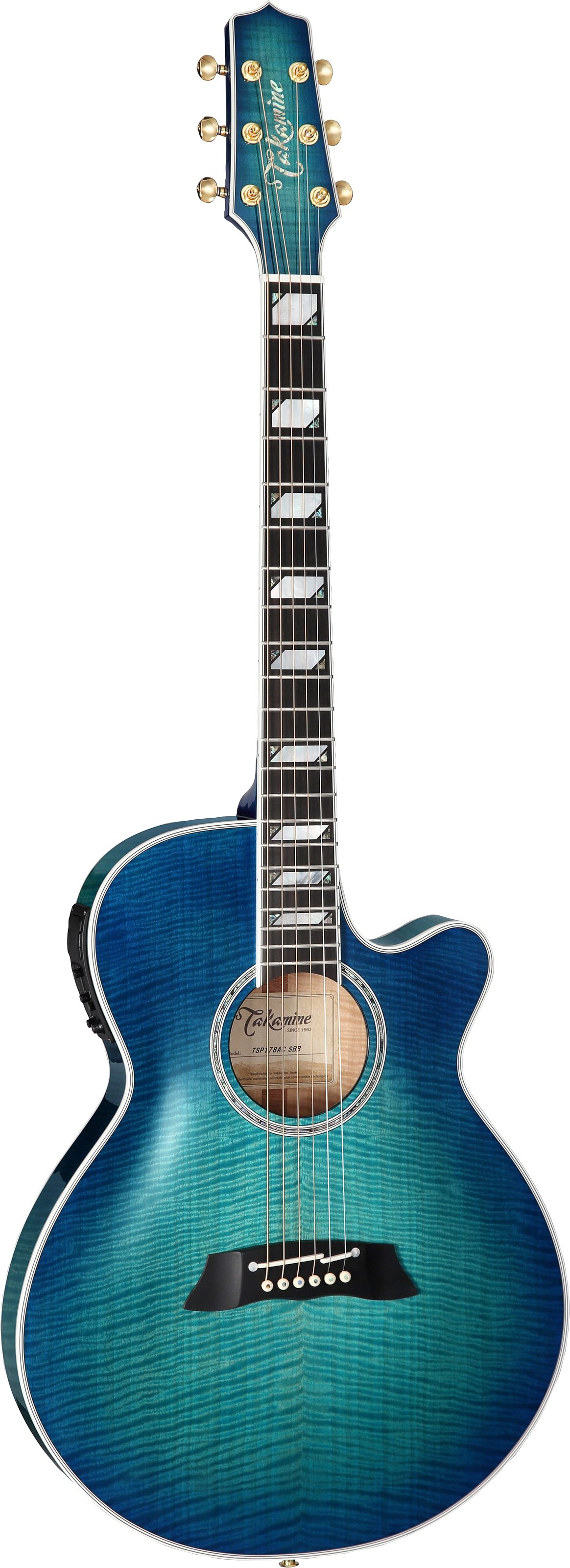 Takamine TSP178AC Thinline Acoustic-Electric Guitar (with Gig Bag), Action Position Back